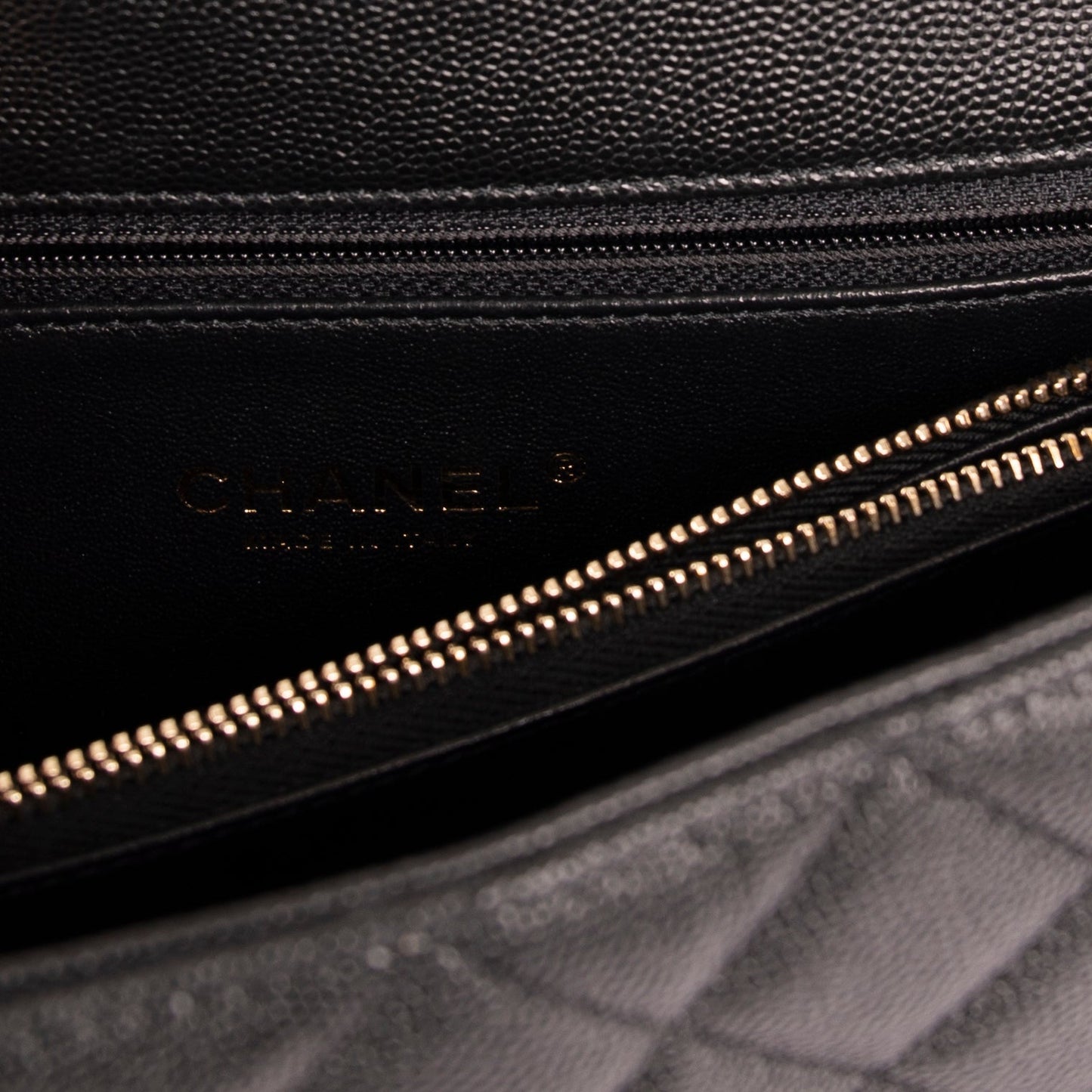 Chanel Medium Python-Trimmed Coco Handle Bag
