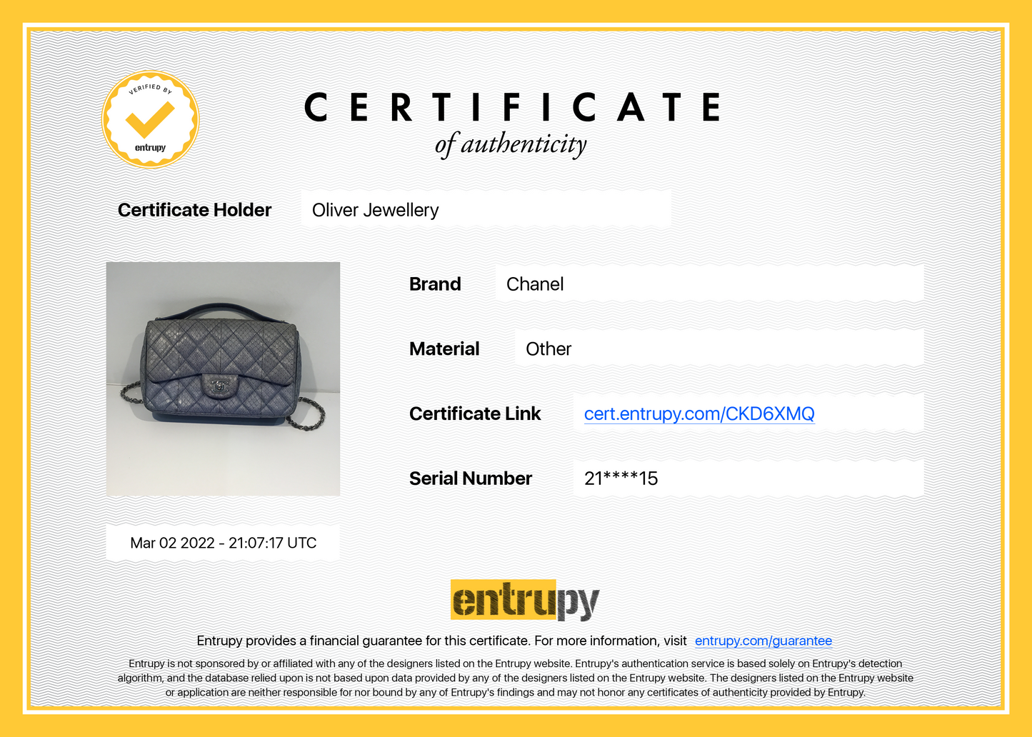 Chanel Python Easy Carry Medium Flap Bag