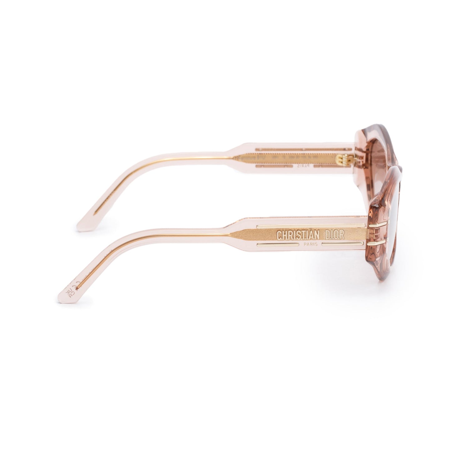 Christian Dior Brown Transparent Acetate DiorSignature B1U Geometric Sunglasses