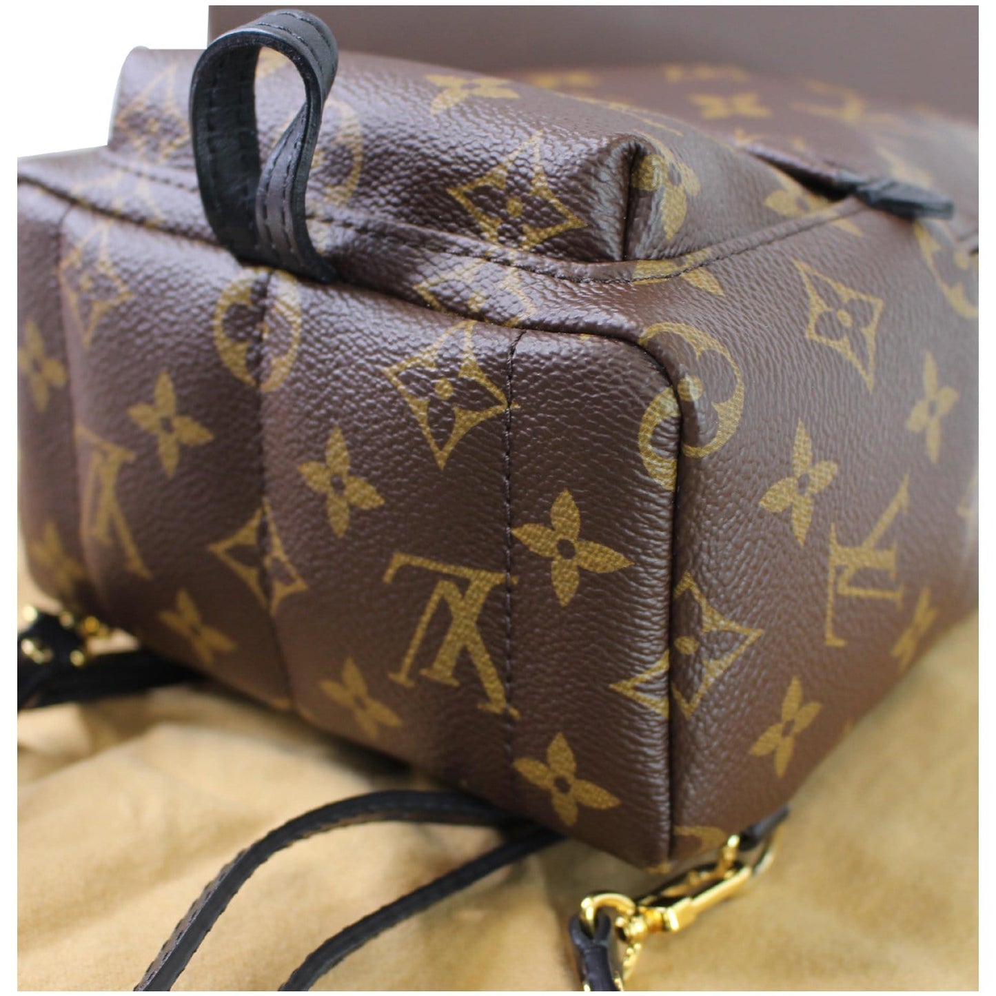 LOUIS VUITTON Palm Springs Mini Monogram Canvas Backpack Brown