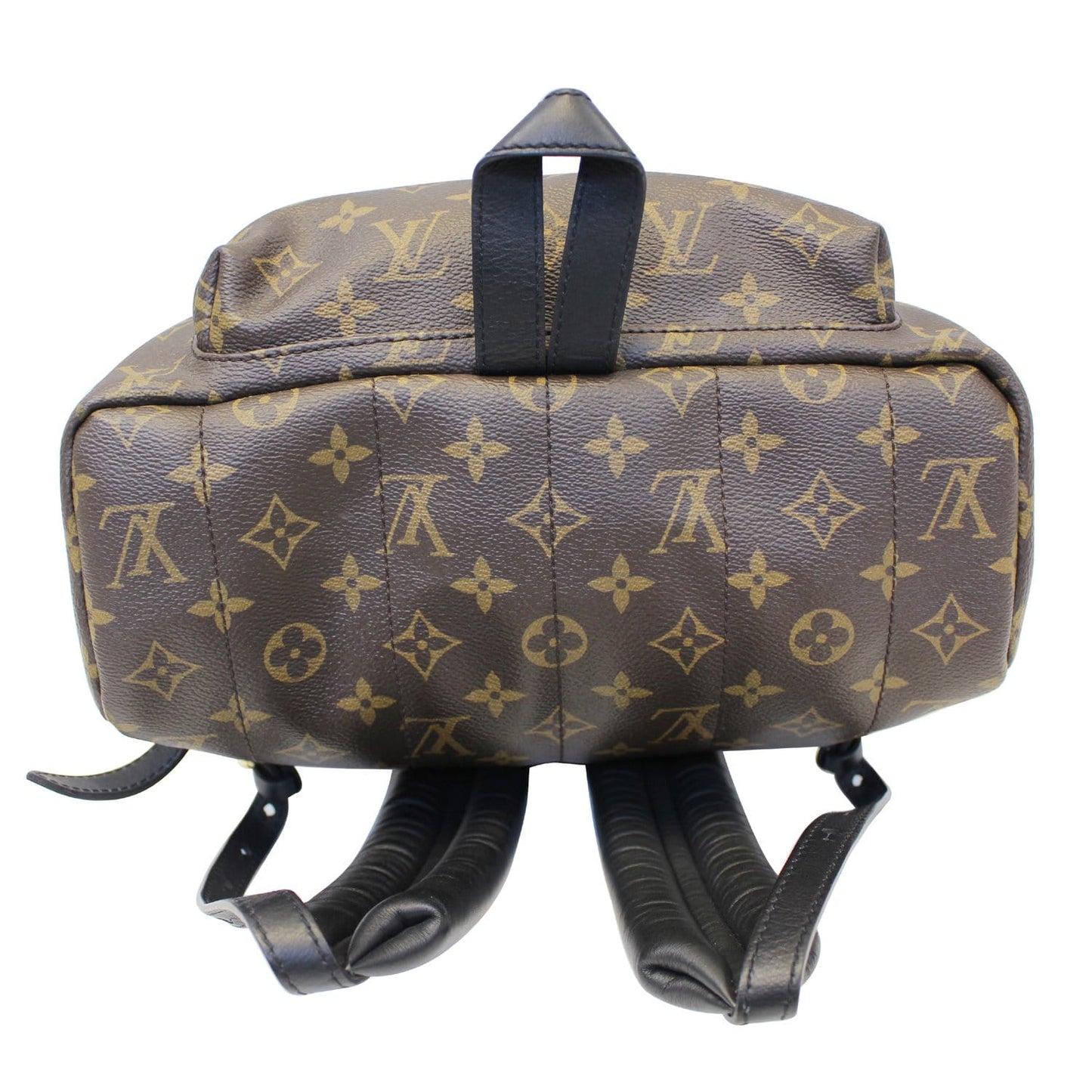 LOUIS VUITTON Palm Springs MM Monogram Canvas Backpack Bag