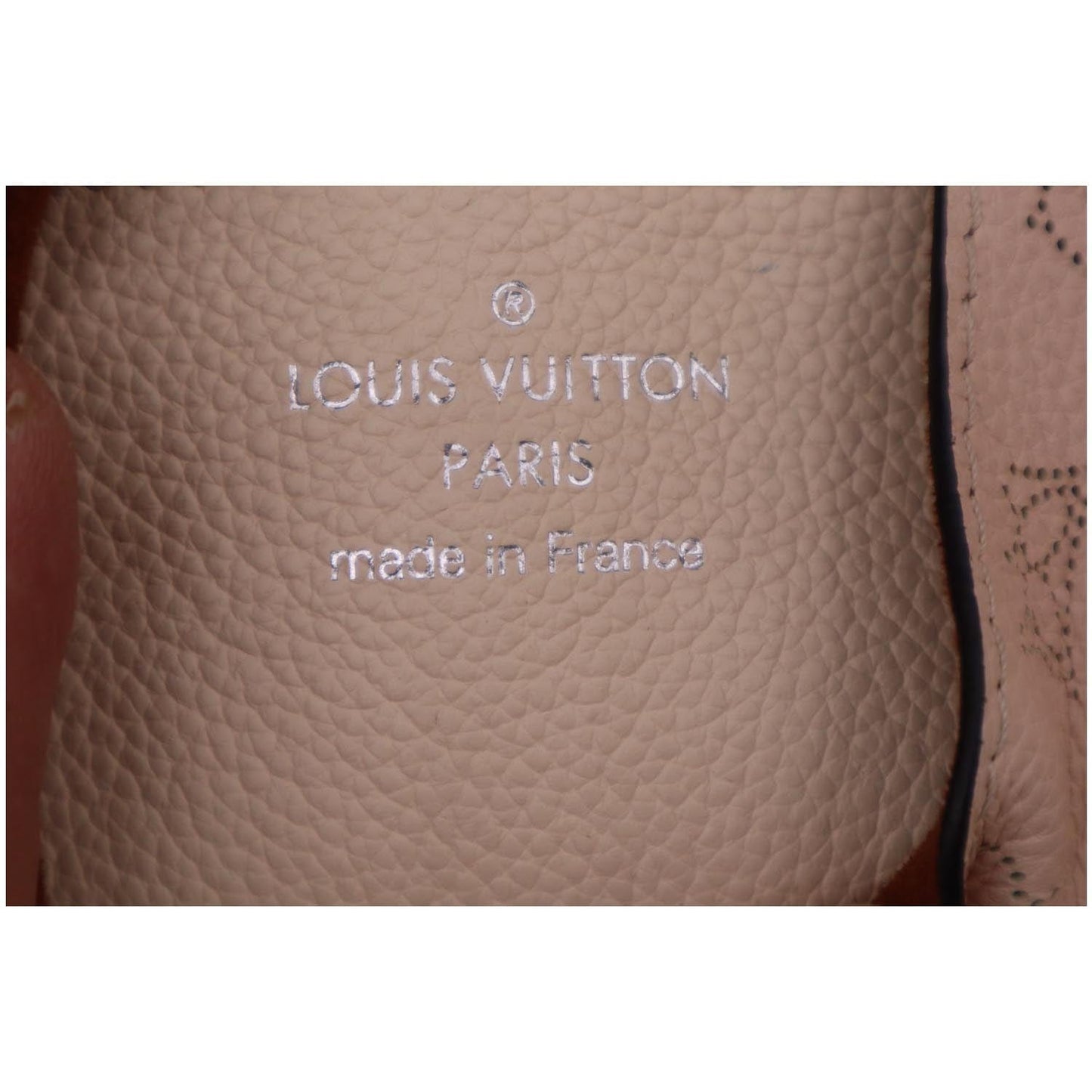LOUIS VUITTON Carmel Mahina Leather Hobo Bag Light Pink