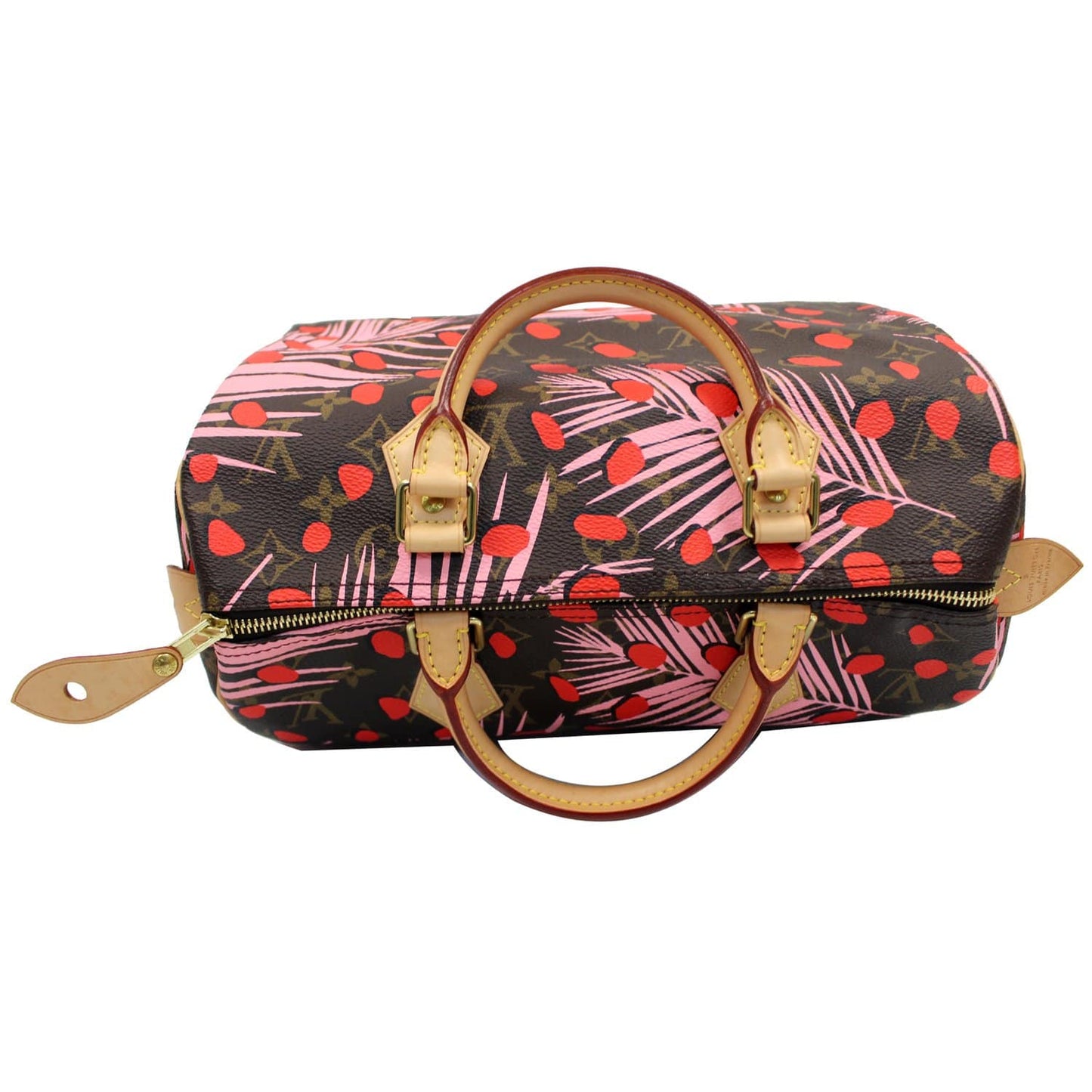 LOUIS VUITTON Speedy 30 Jungle Dots Palm Springs Satchel Bag Brown - 15% OFF