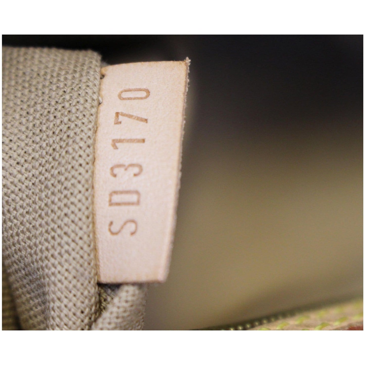 LOUIS VUITTON Delightful GM Monogram Canvas Shoulder Bag Brown