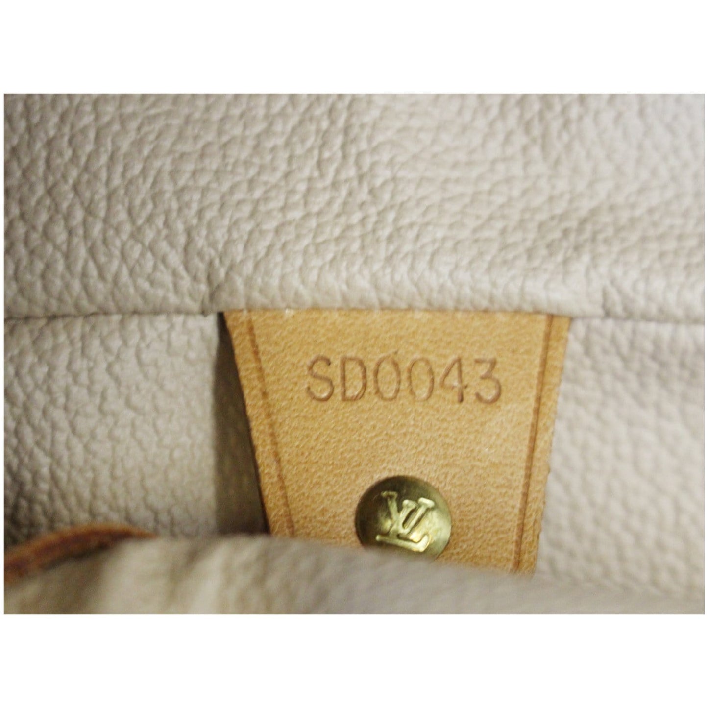LOUIS VUITTON Bucket PM Monogram Canvas Shoulder Bag