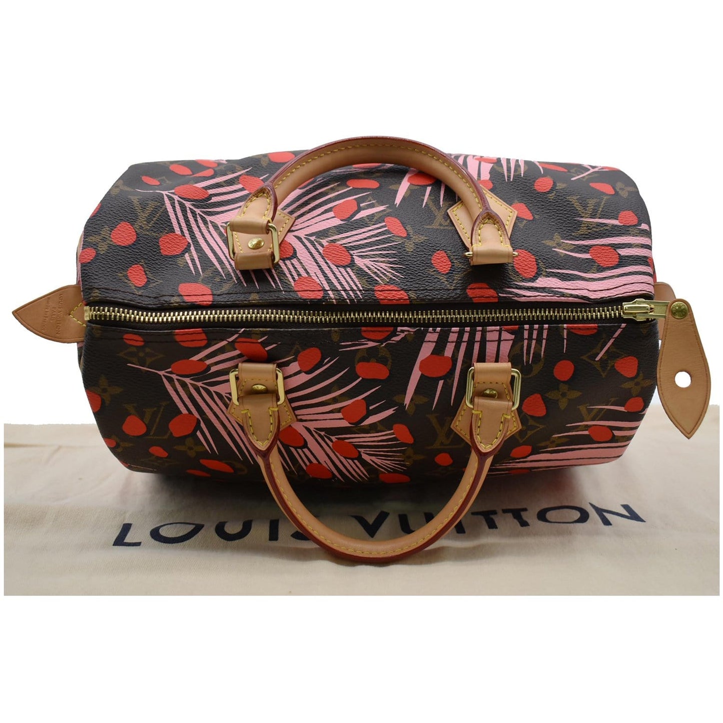 LOUIS VUITTON Speedy 30 Jungle Dots Palm Springs Satchel Bag Brown