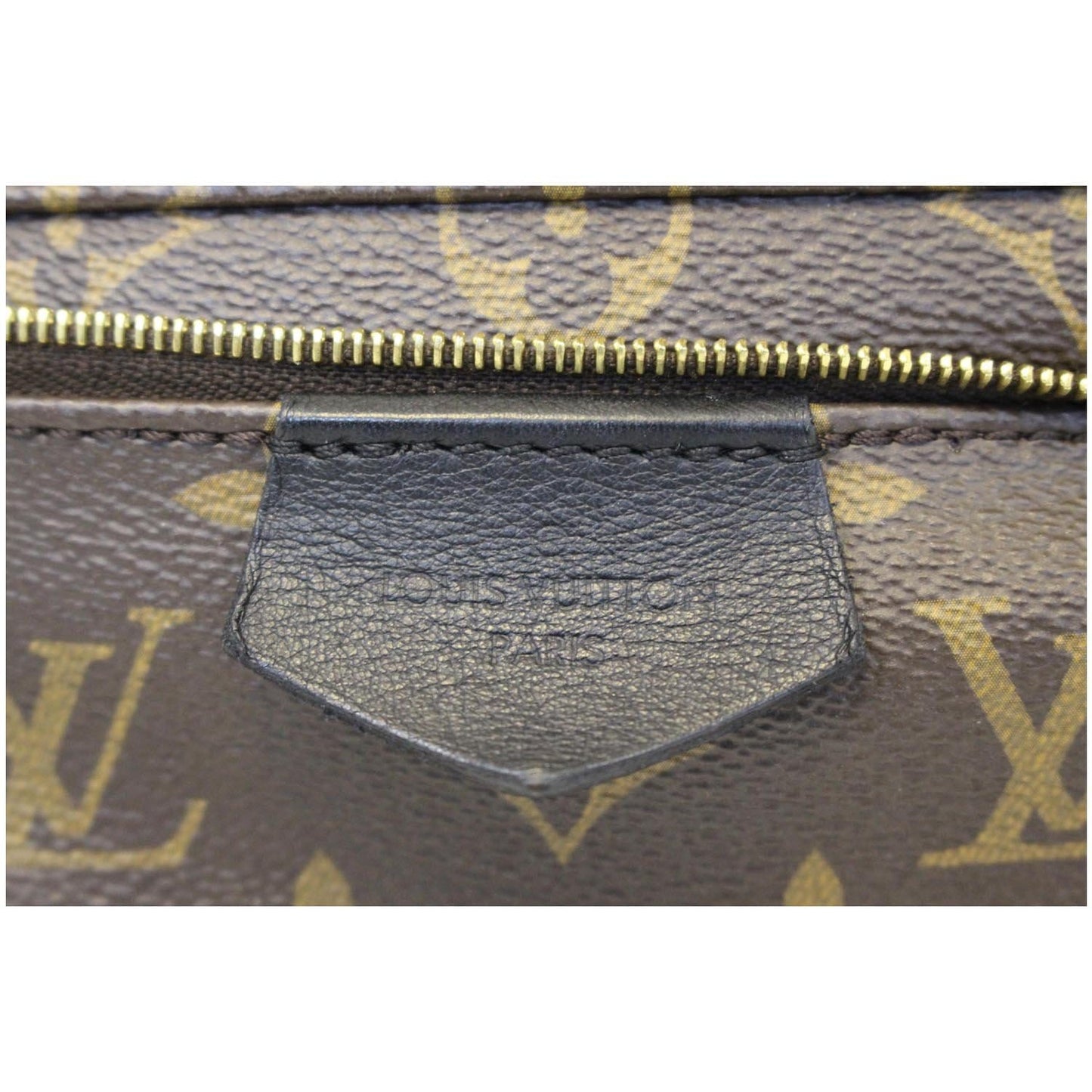 LOUIS VUITTON Palm Springs MM Monogram Canvas Backpack Bag