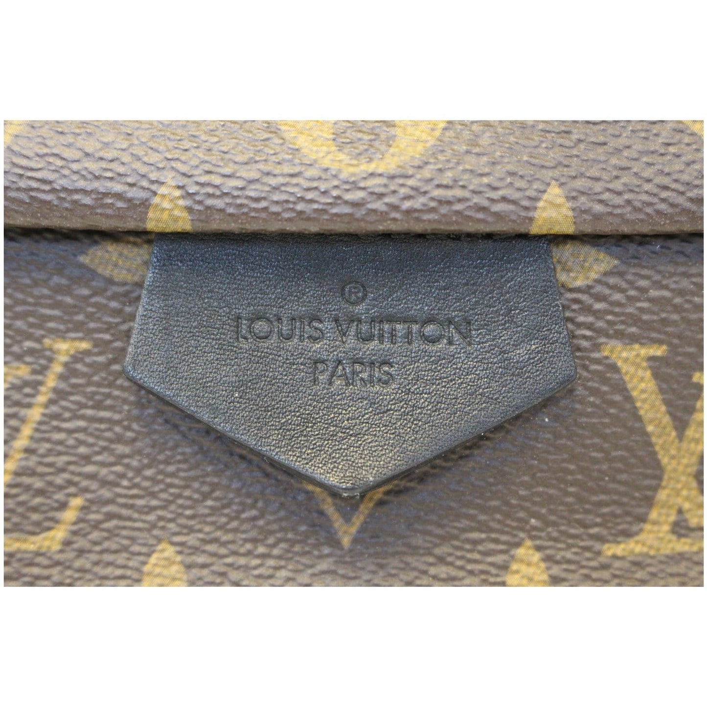 LOUIS VUITTON Palm Springs MM Monogram Canvas Backpack Bag