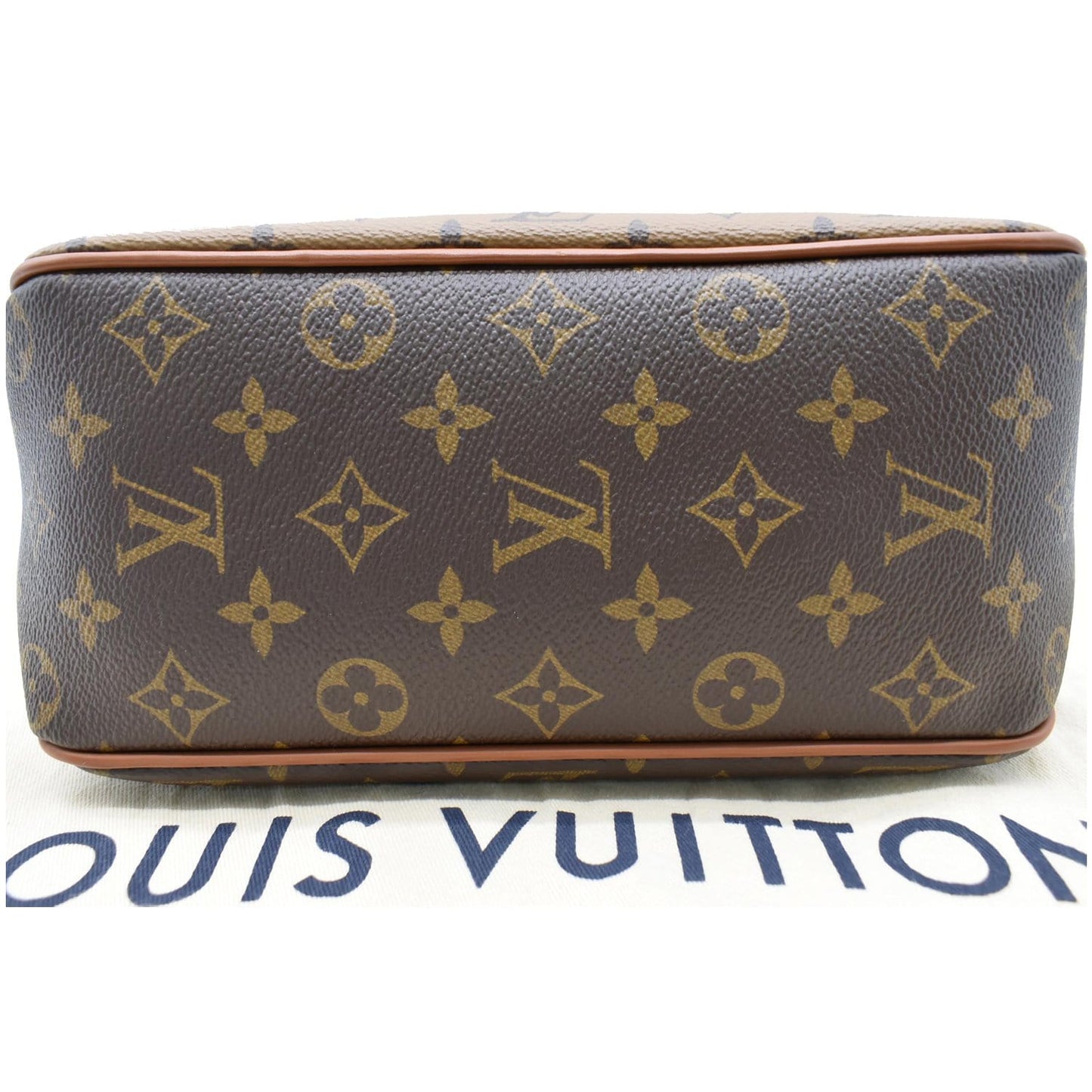 LOUIS VUITTON Dauphine PM Monogram Reverse Canvas Hobo Shoulder Bag Brown