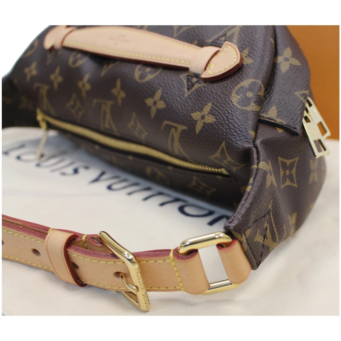 LOUIS VUITTON Monogram Canvas Bumbag Bag Brown