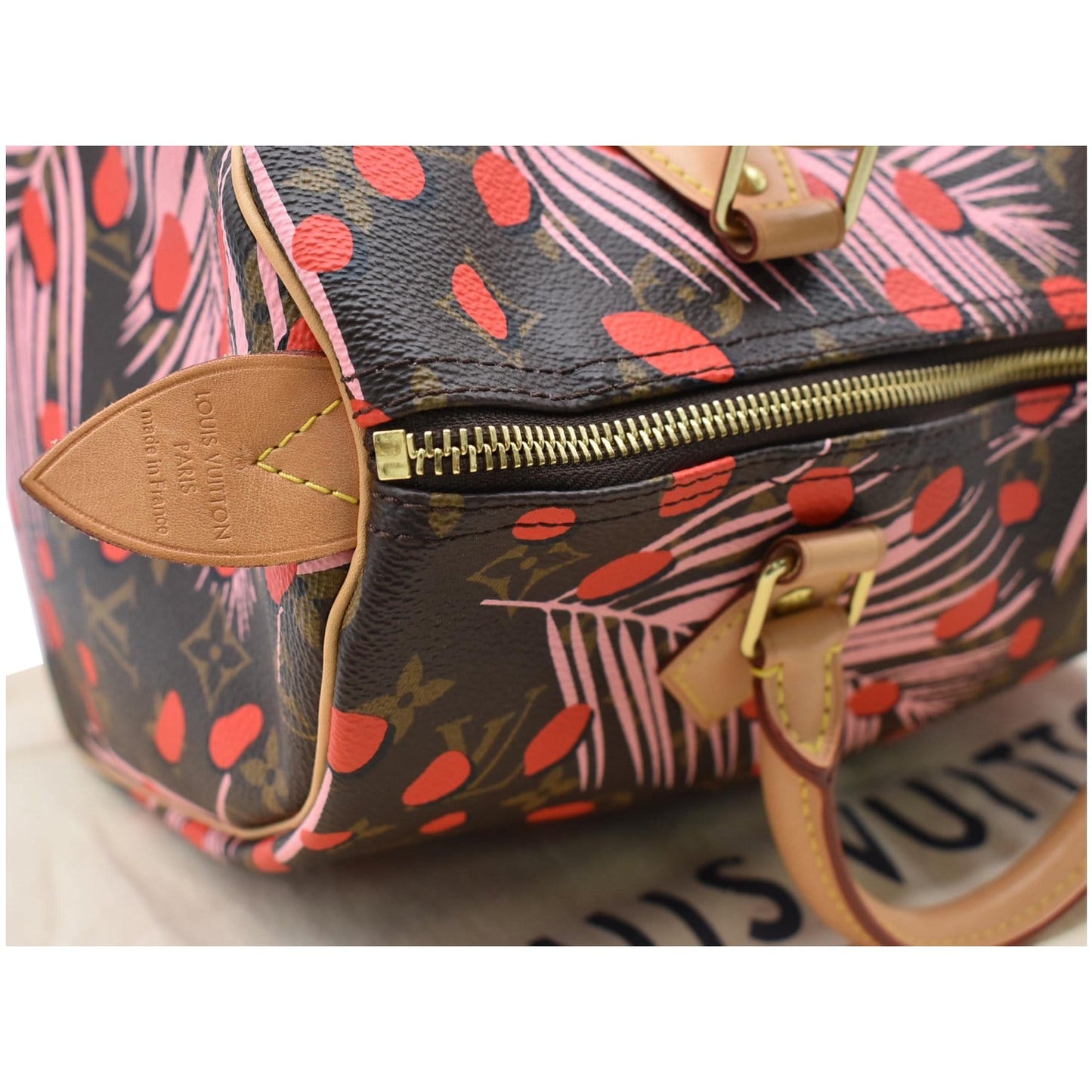 LOUIS VUITTON Speedy 30 Jungle Dots Palm Springs Satchel Bag Brown