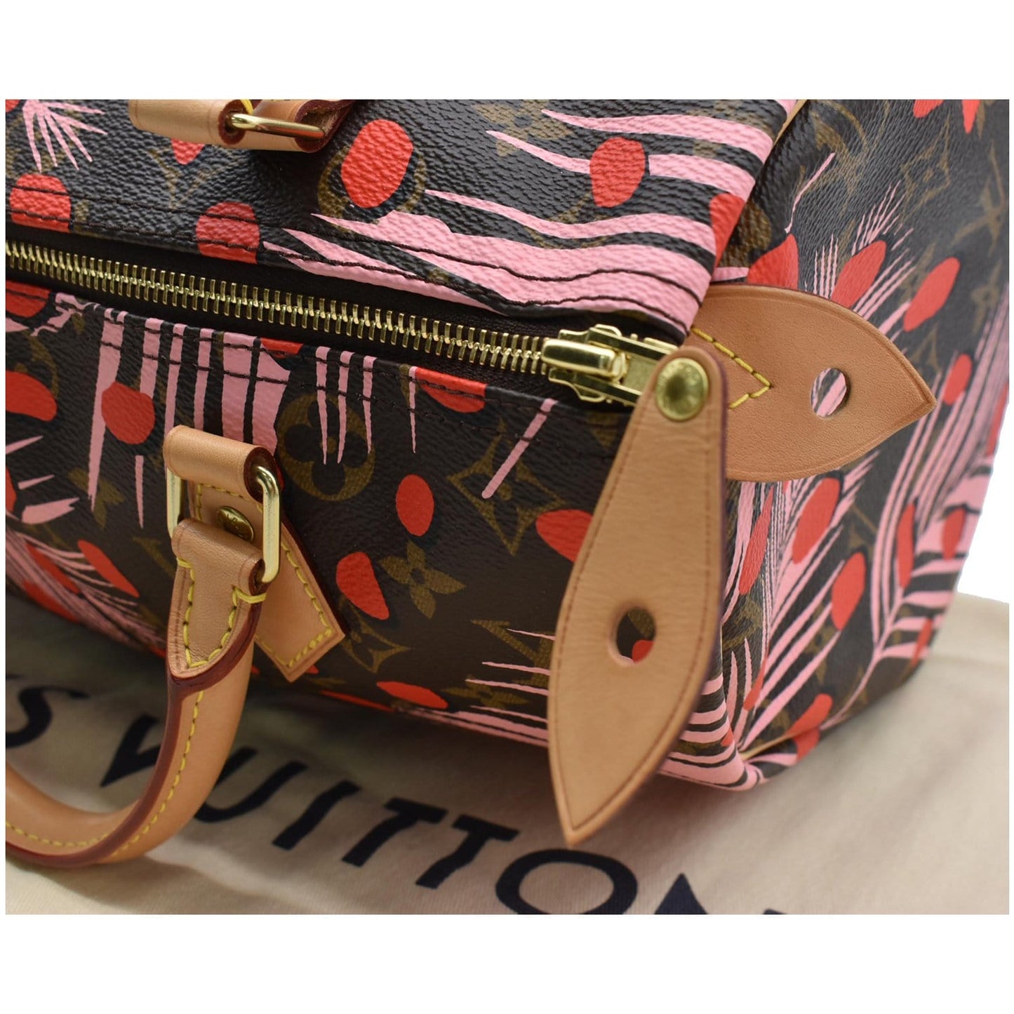 LOUIS VUITTON Speedy 30 Jungle Dots Palm Springs Satchel Bag Brown