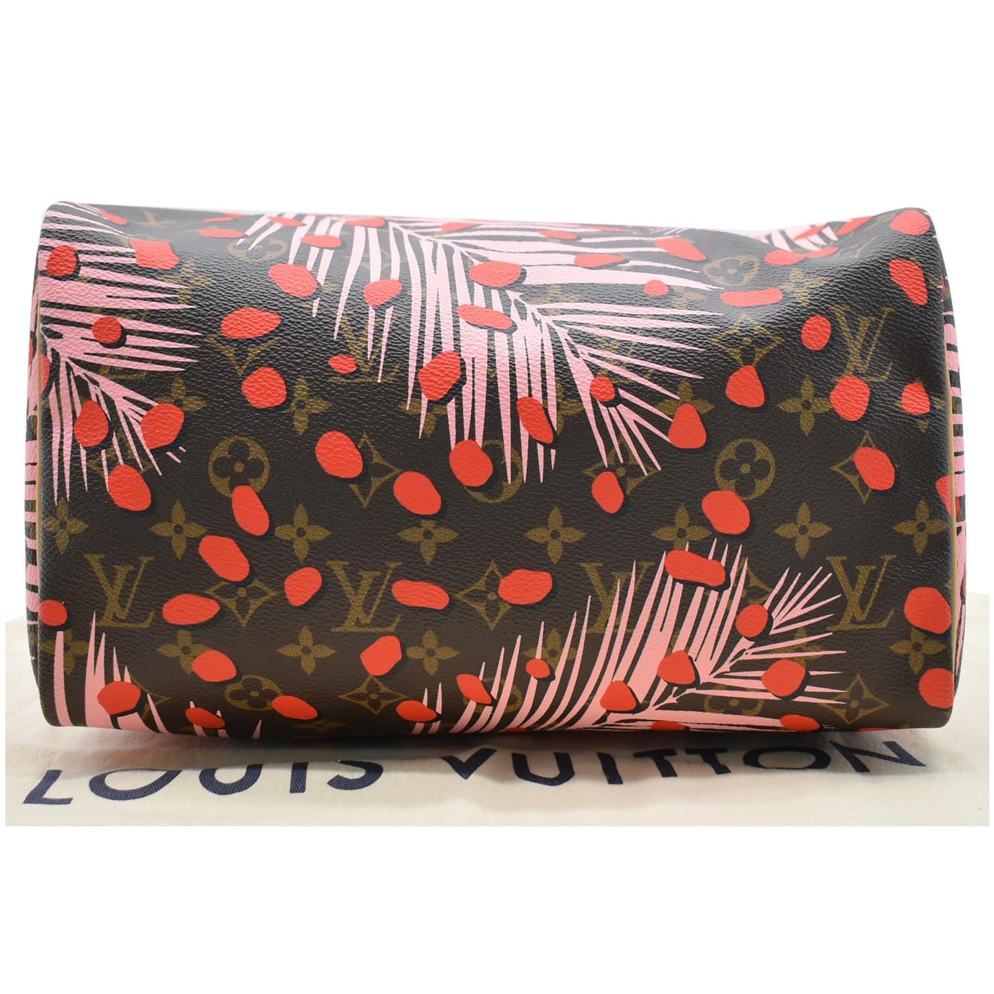 LOUIS VUITTON Speedy 30 Jungle Dots Palm Springs Satchel Bag Brown