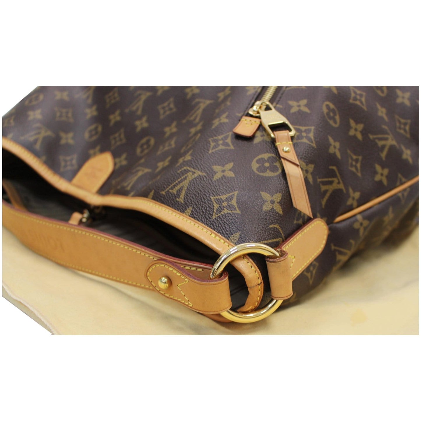 LOUIS VUITTON Delightful GM Monogram Canvas Shoulder Bag Brown