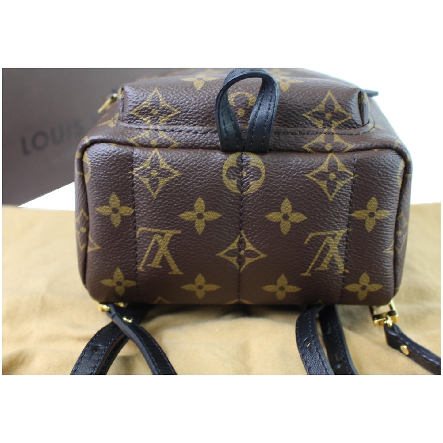 LOUIS VUITTON Palm Springs Mini Monogram Canvas Backpack Brown