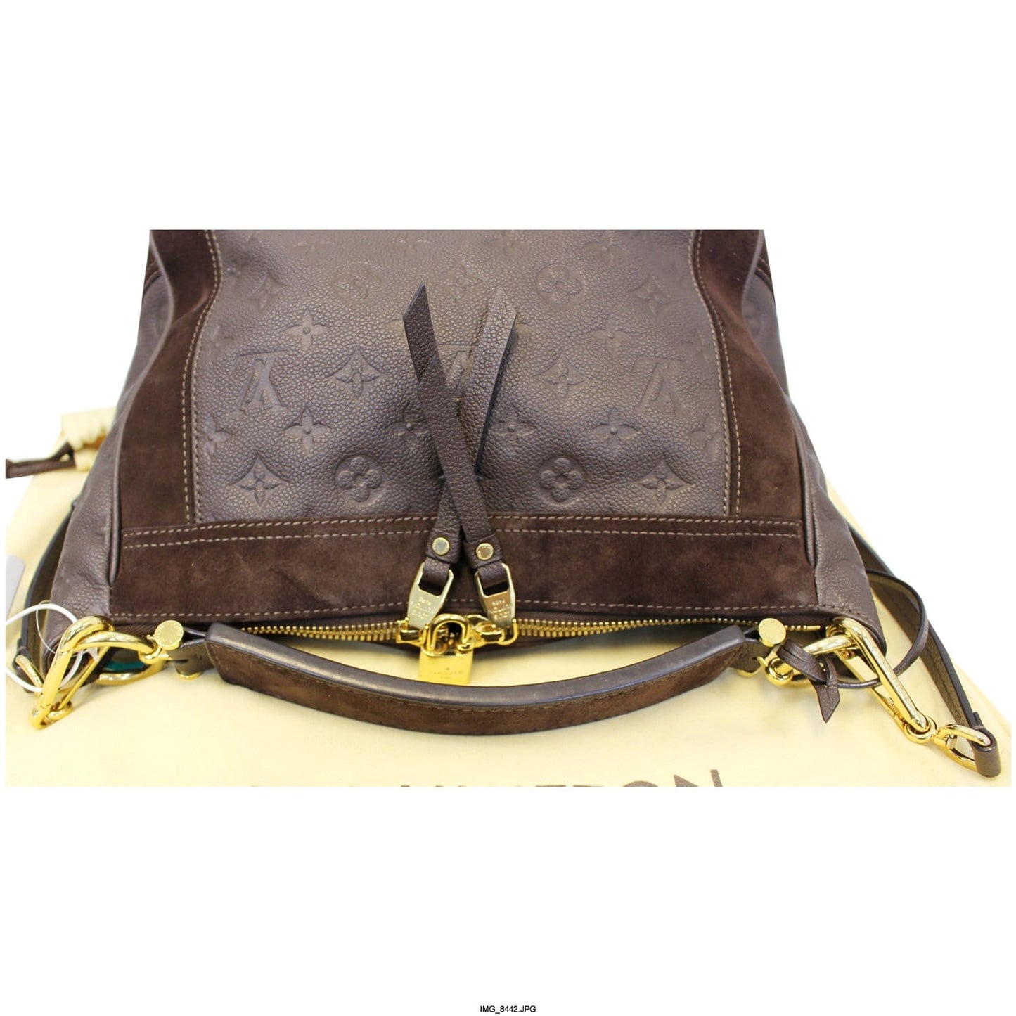 LOUIS VUITTON Audacieuse PM Terre Empreinte Leather Shoulder Bag