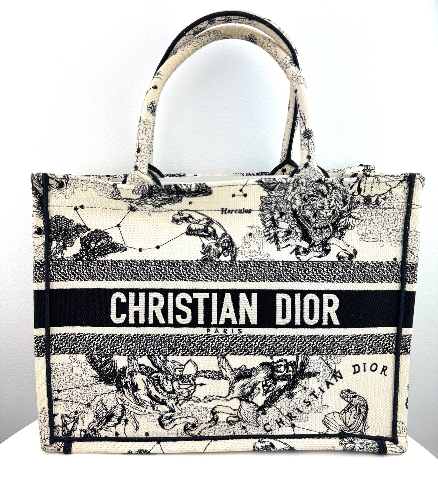Dior Canvas Embroidered Small Toile De Jouy Book Tote Latte