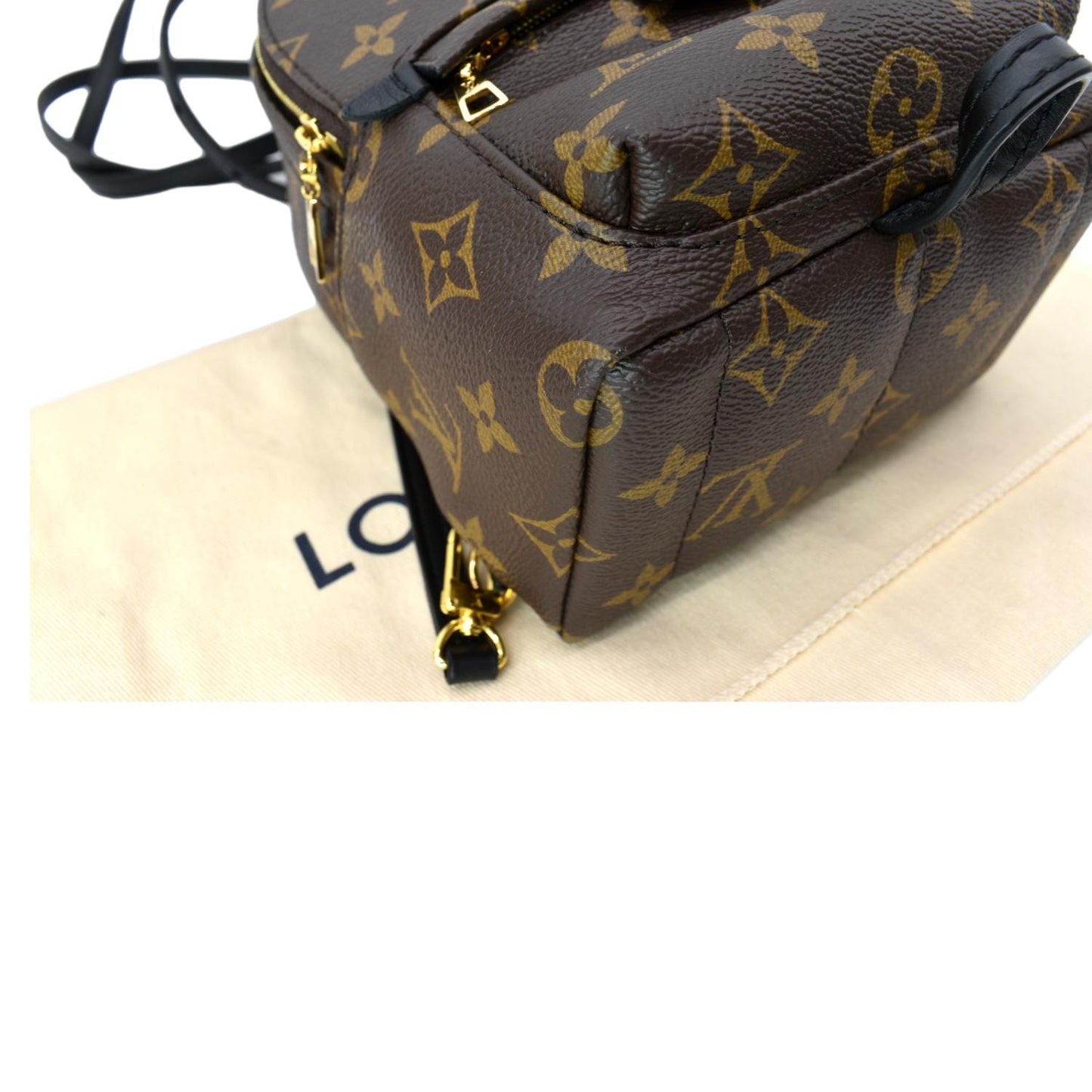 LOUIS VUITTON Palm Springs Mini Monogram Canvas Backpack Brown