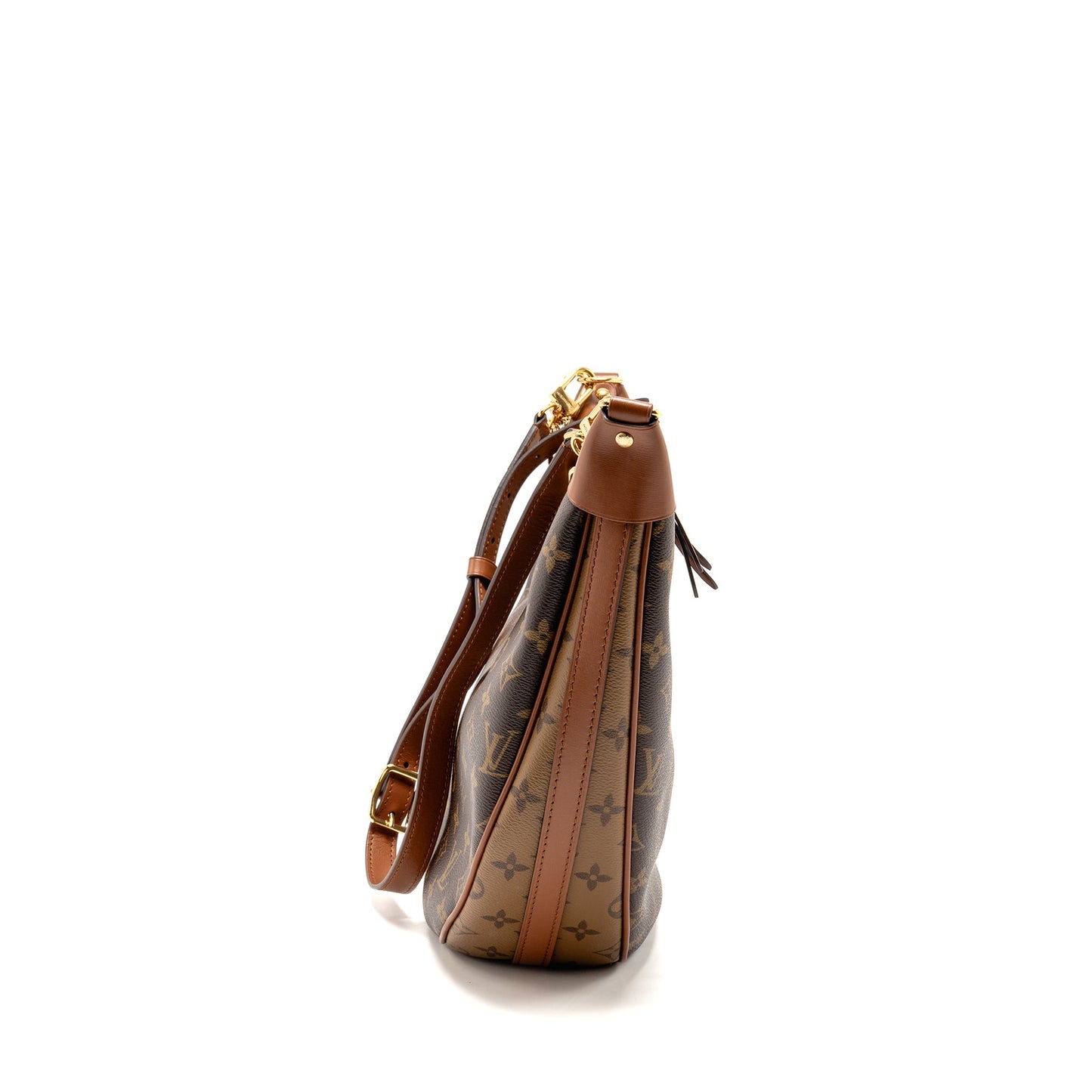 Louis Vuitton Loop Hobo Purse Monogram Canvas