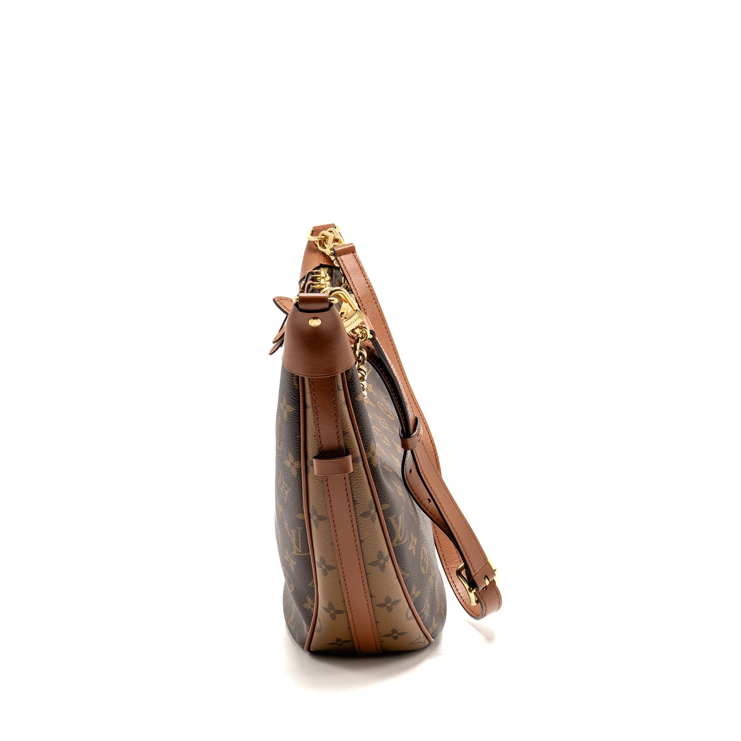 Louis Vuitton Loop Hobo Purse Monogram Canvas