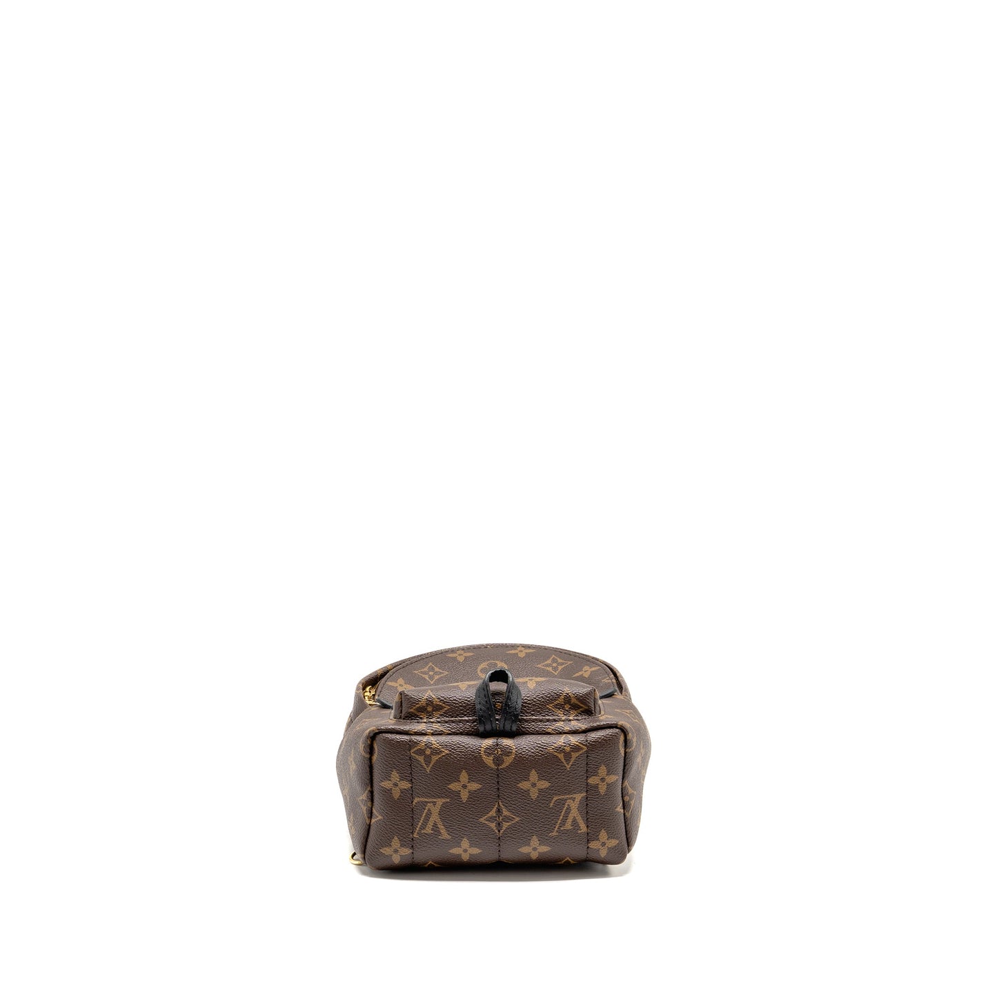 Louis Vuitton Mini Palm Spring Backpack Monogram Canvas