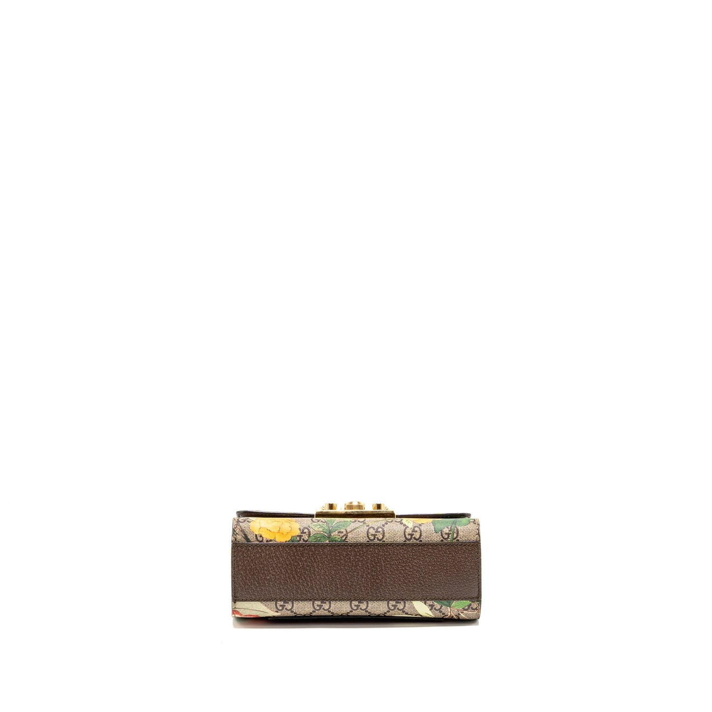 Gucci Small Padlock Mini Purse Tian Supreme Canvas/Leather Brown/Multicolour