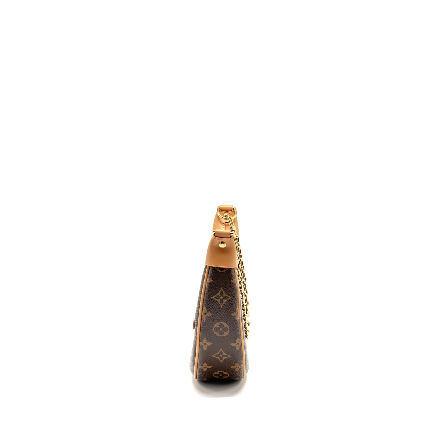 Louis Vuitton Loop Monogram Canvas