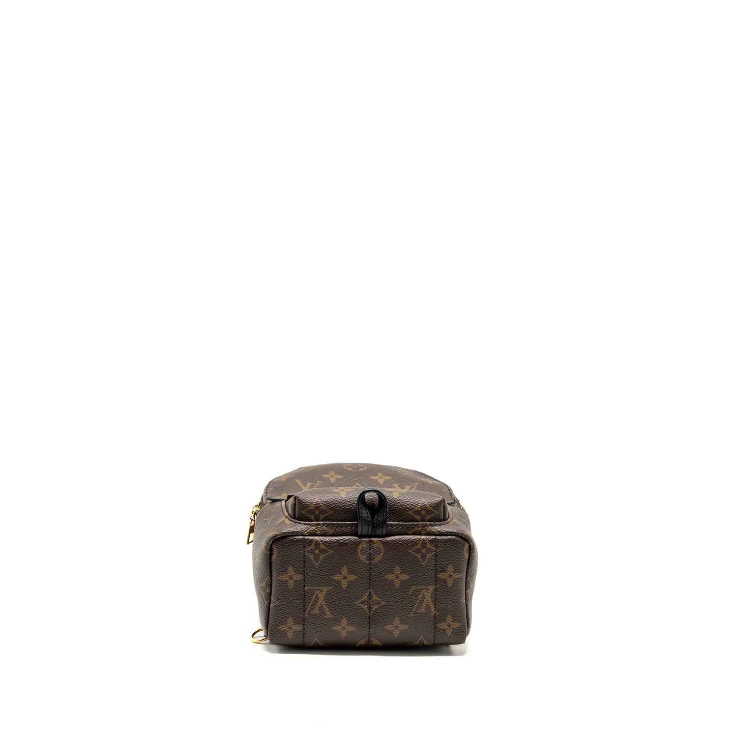 Louis Vuitton Mini Palm Spring Backpack Monogram Canvas