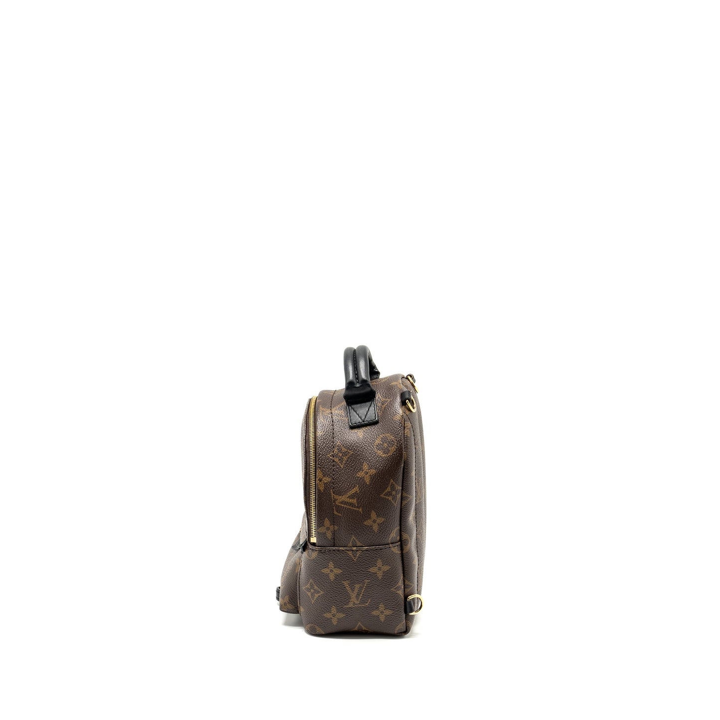 Louis Vuitton Mini Palm Spring Backpack Monogram Canvas