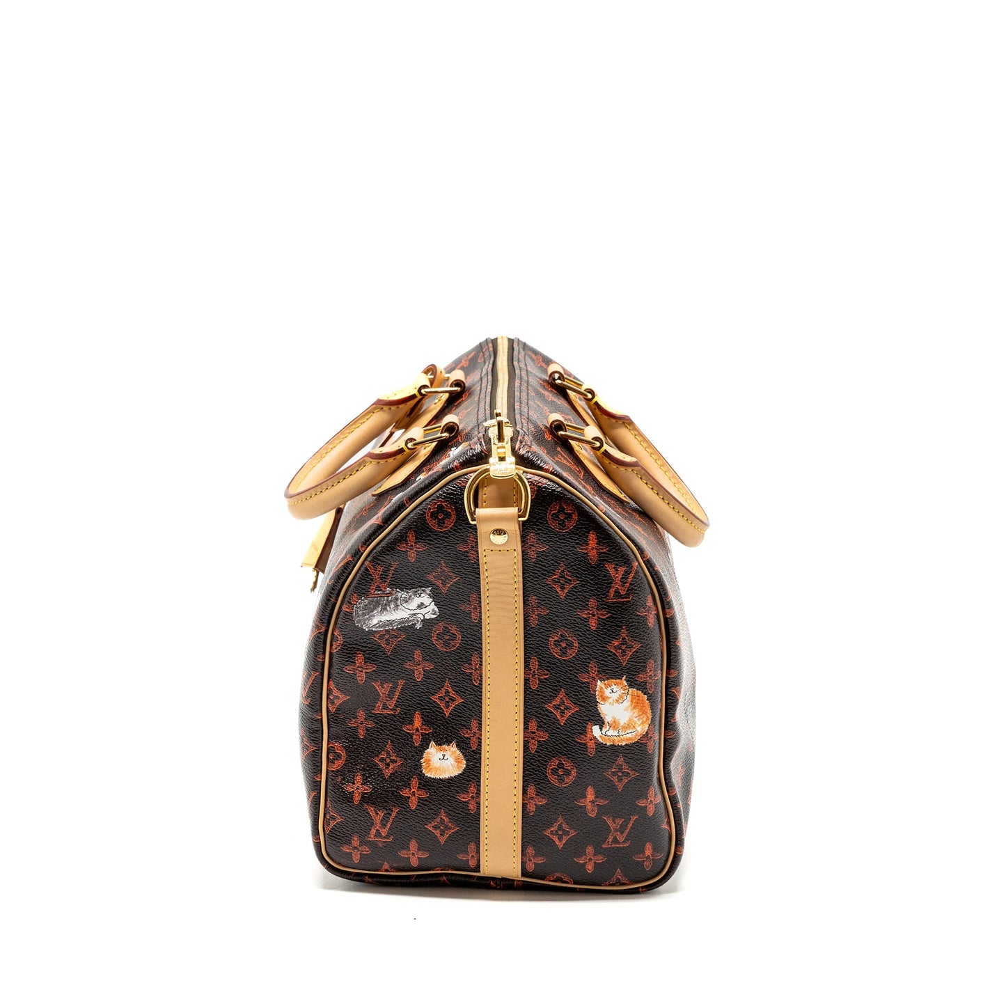 Louis Vuitton Speedy Bandouliere 30 Catogram Limited Edition Canvas