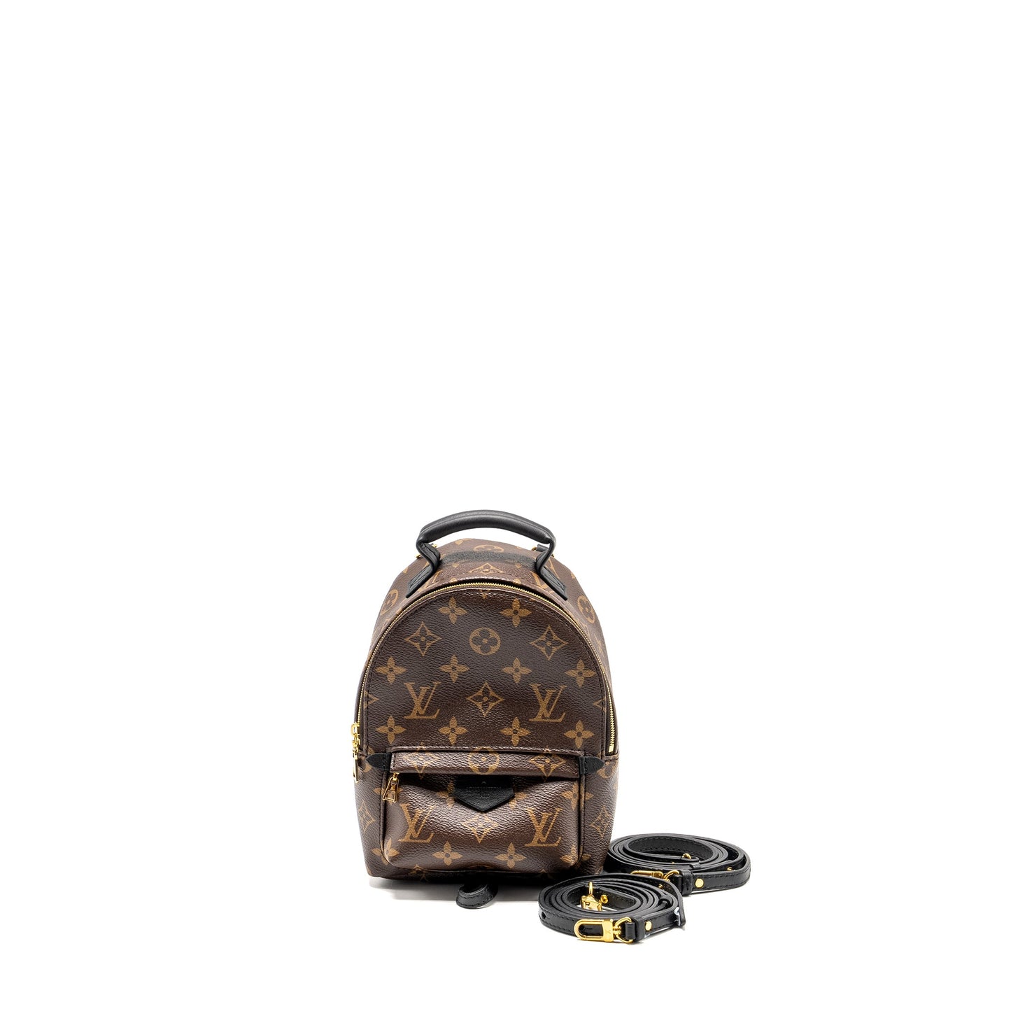 Louis Vuitton Mini Palm Spring Backpack monogram canvas