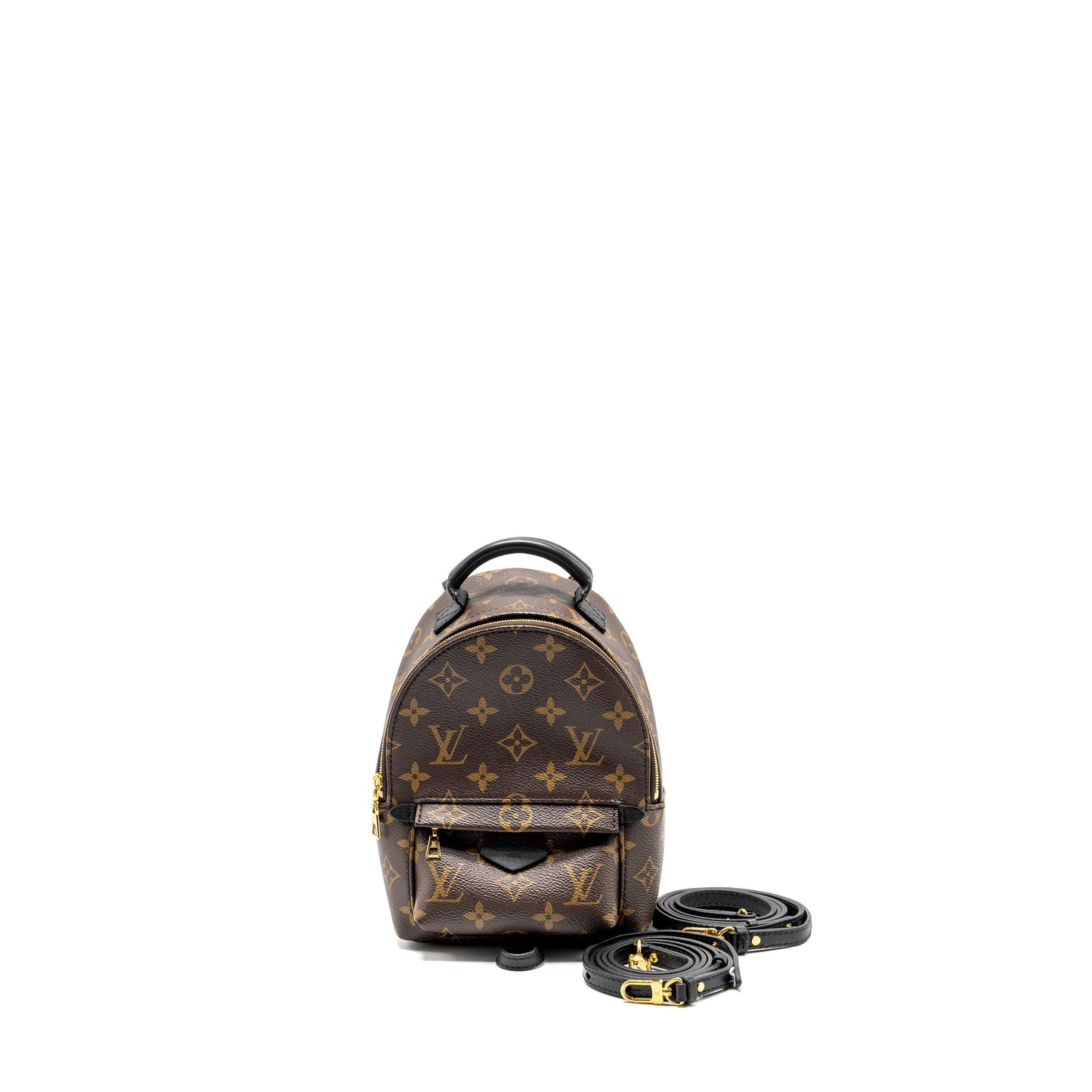 Louis Vuitton Mini Palm Spring Backpack Monogram CANVAS