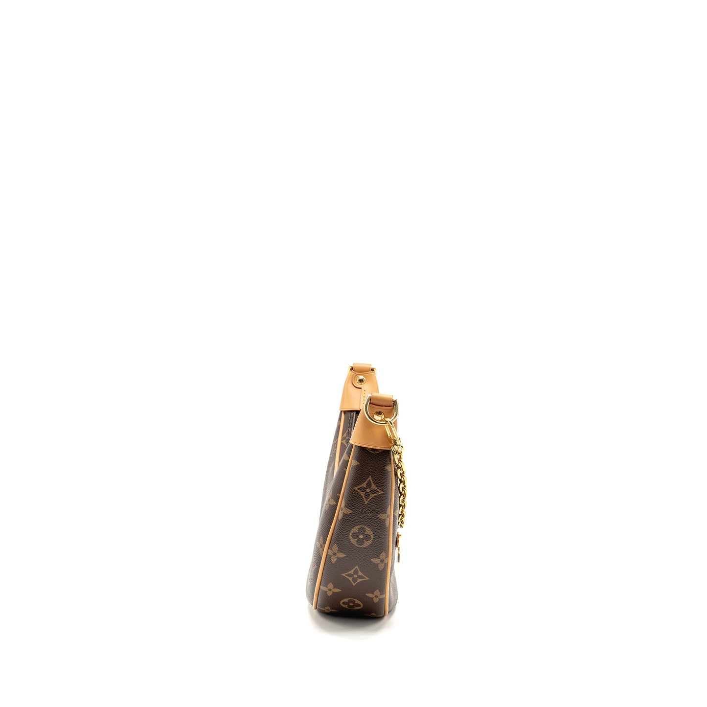 Louis Vuitton Half-moon Loop Baguette Monogram Canvas