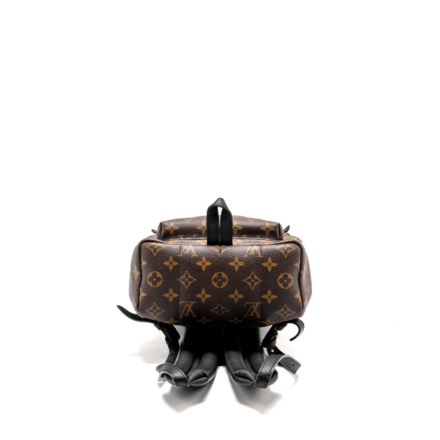LOUIS VUITTON Palm Spring Backpack Monogram Canvas