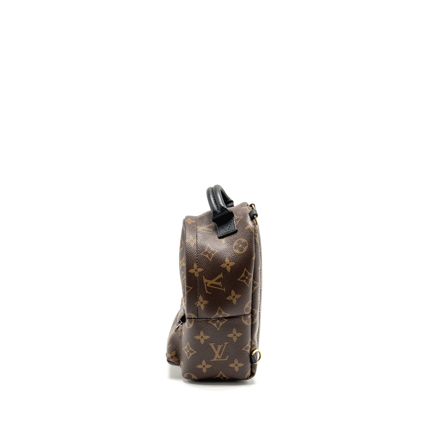 Louis Vuitton Mini Palm Spring Backpack Monogram Canvas
