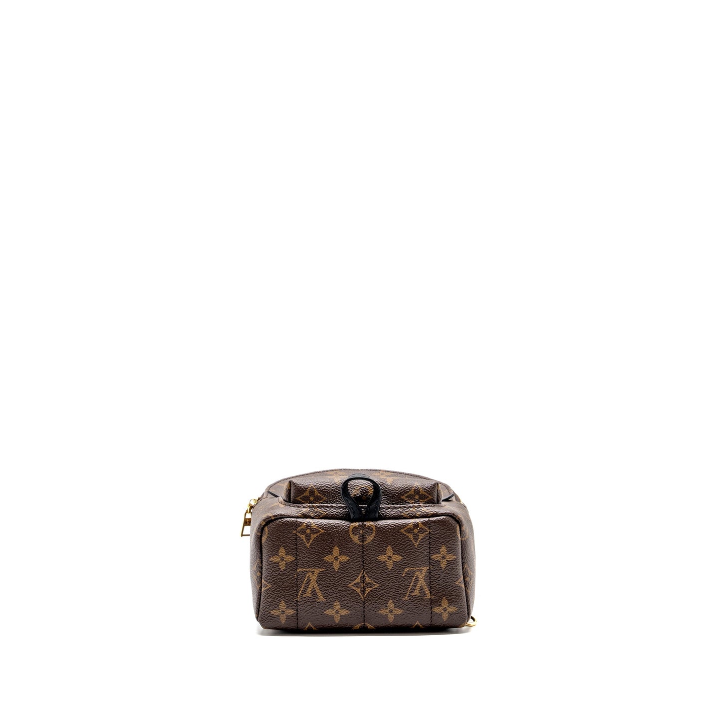 Louis Vuitton palm spring backpack monogram canvas