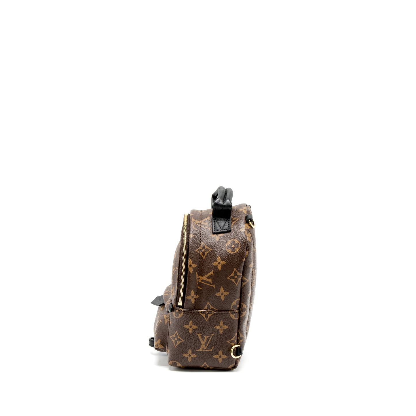 Louis Vuitton Mini Palm Spring Backpack Monogram Canvas (New Version)