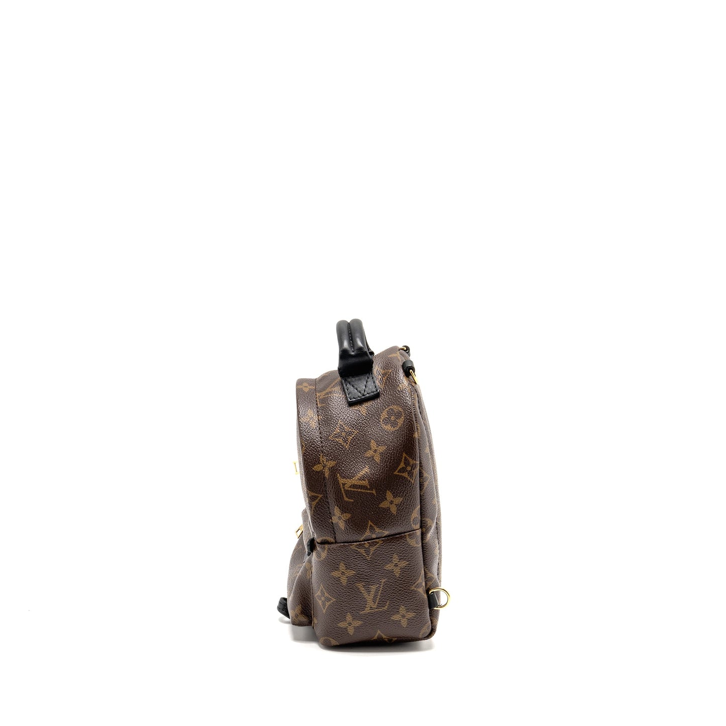 Louis Vuitton Mini Palm Spring Backpack Monogram Canvas