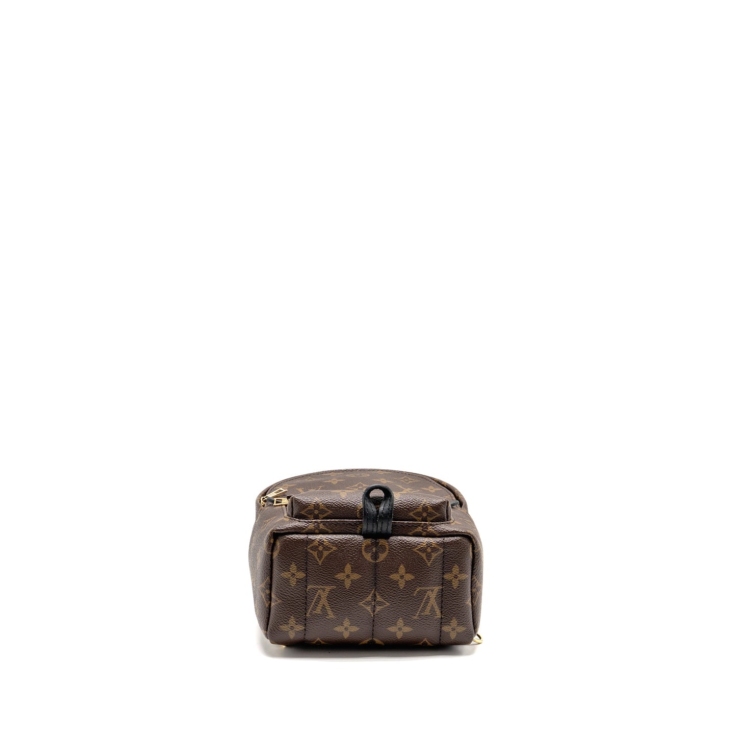 Louis Vuitton Mini Palm Spring Backpack Monogram Canvas