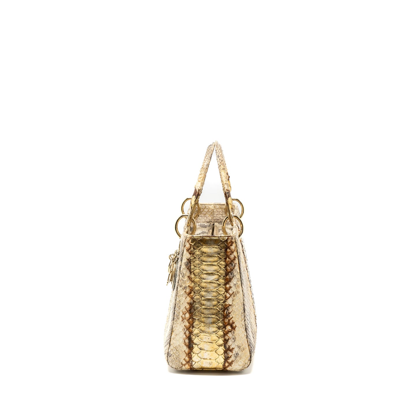 Dior Medium Lady Dior Python Multicolour