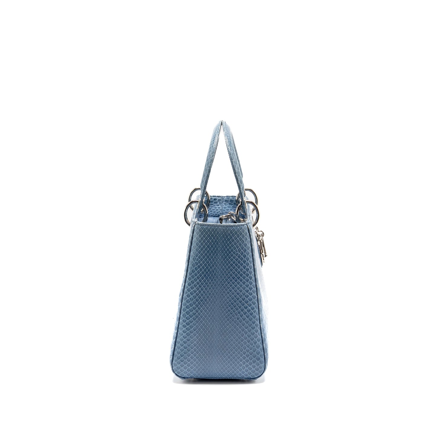 Dior Medium Lady Dior Python Blue
