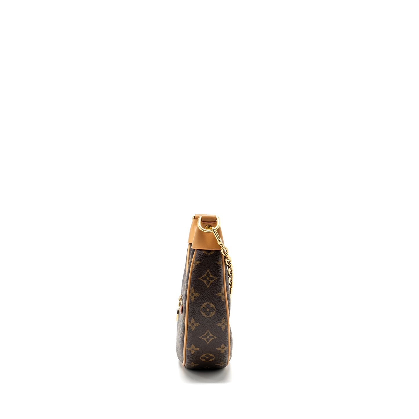 Louis Vuitton Loop Purse Monogram Canvas