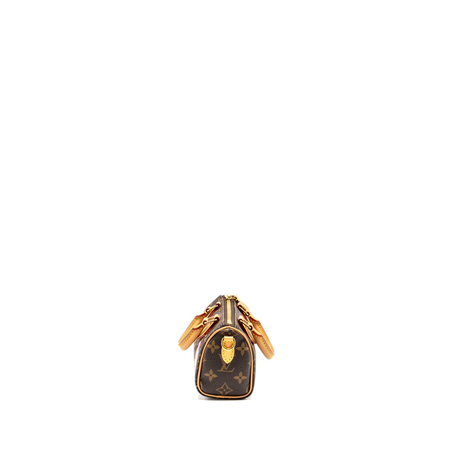 Louis Vuitton Nano Speedy Vivienne Limited Edition Monogram Canvas