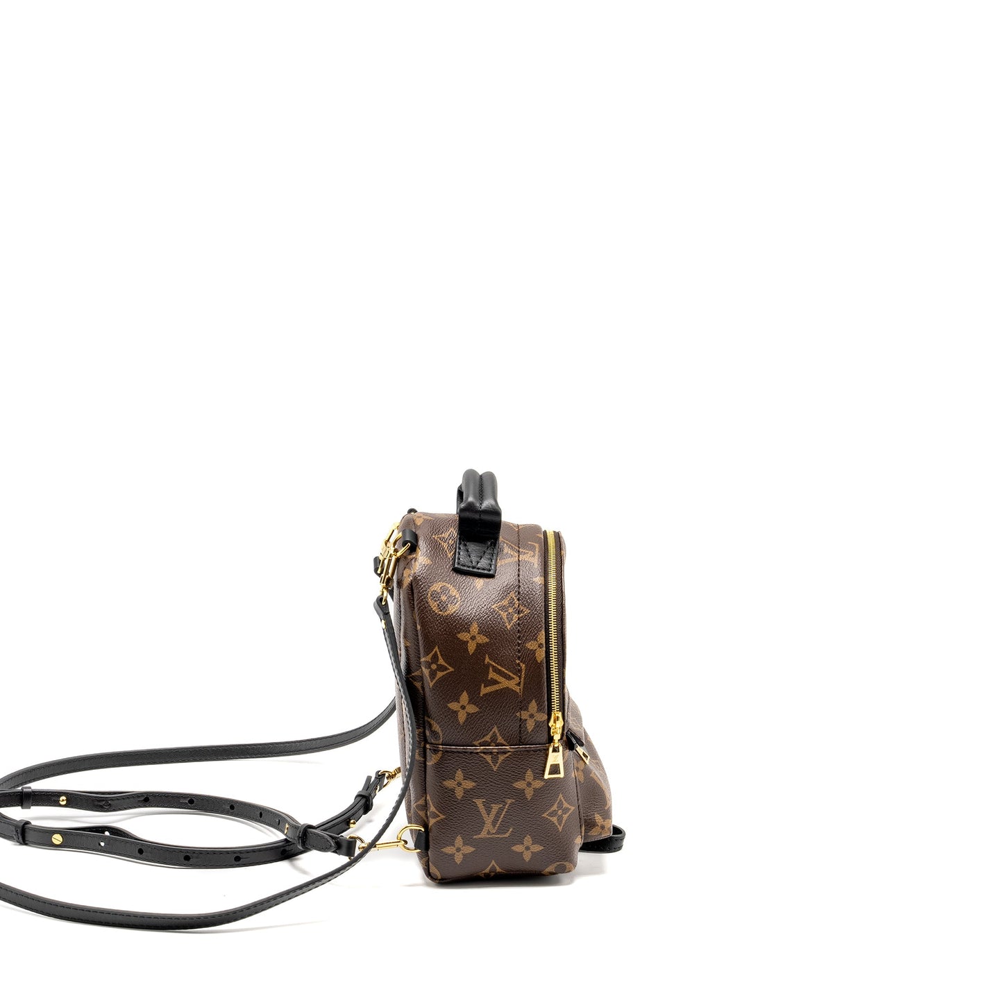 Louis Vuitton Mini Palm Spring Backpack monogram canvas