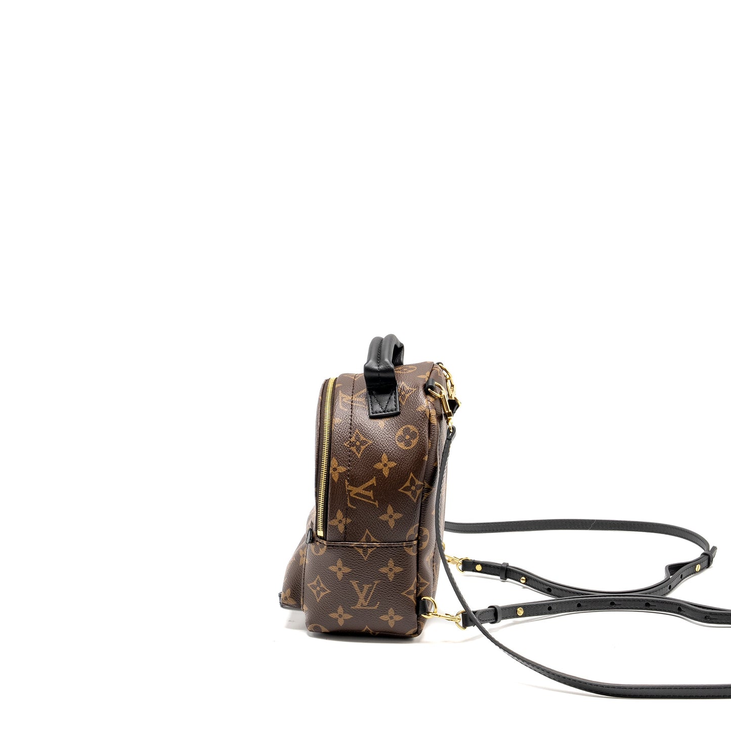 Louis Vuitton Mini Palm Spring Backpack monogram canvas