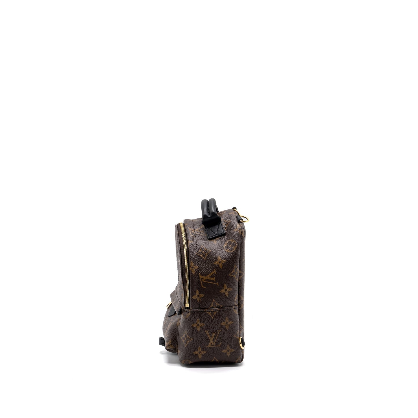 Louis Vuitton Palm Spring Mini Backpack Monogram Canvas