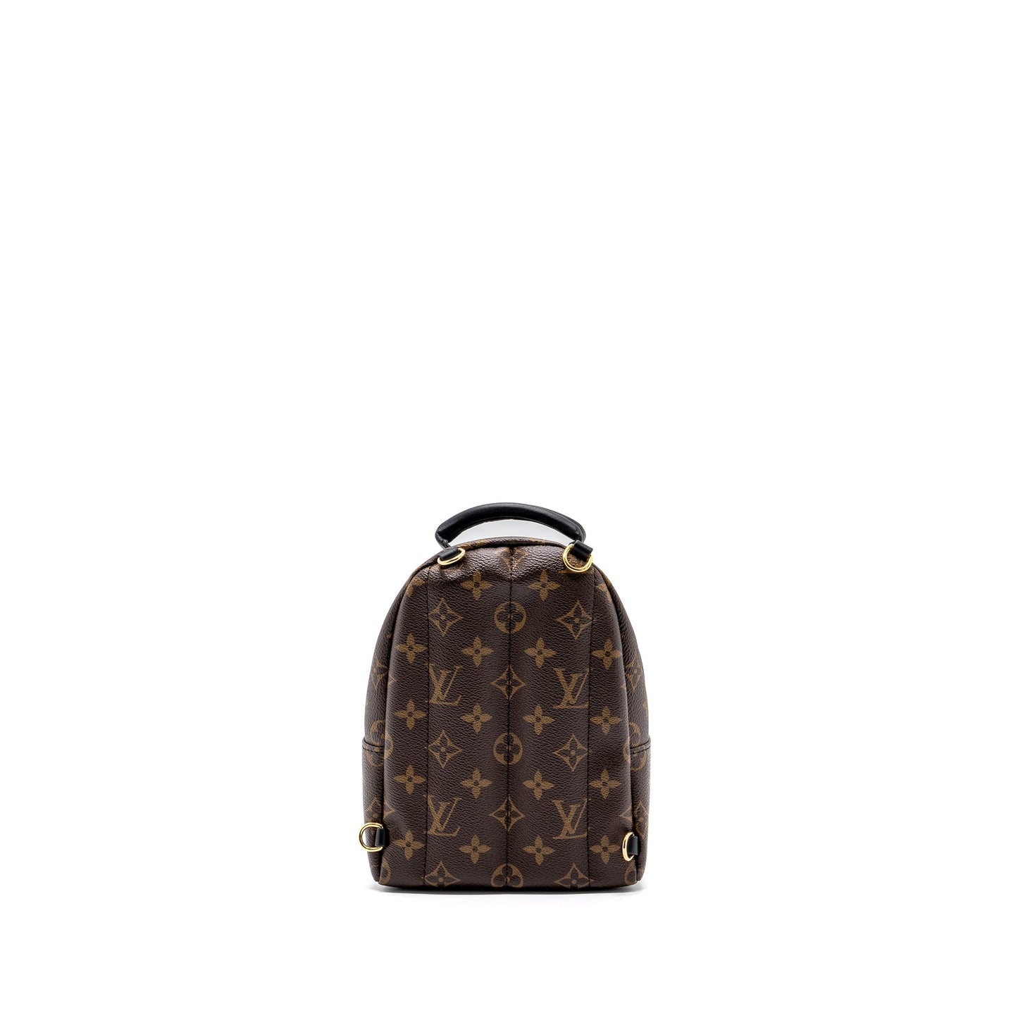 Louis Vuitton Palm Spring Mini Backpack Monogram Canvas