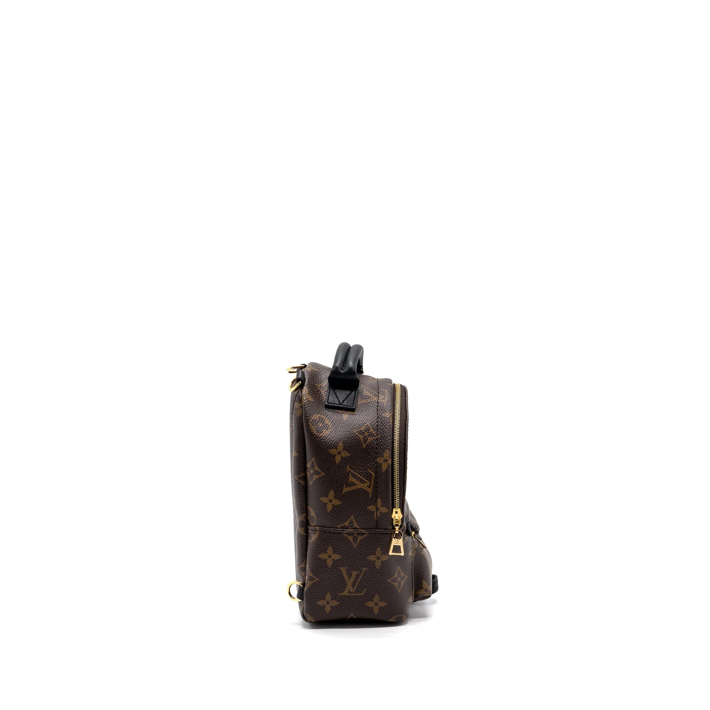 Louis Vuitton Palm Spring Mini Backpack Monogram Canvas