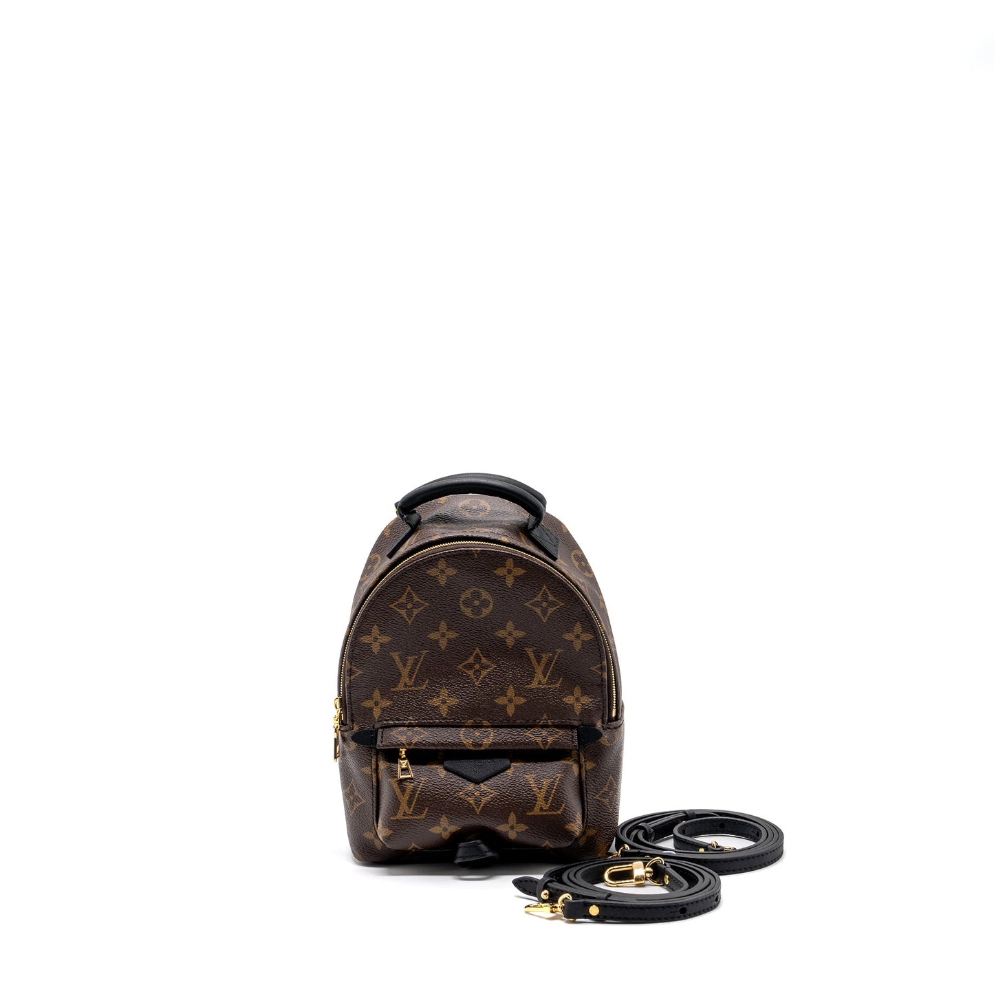 Louis Vuitton Palm Spring Mini Backpack Monogram Canvas