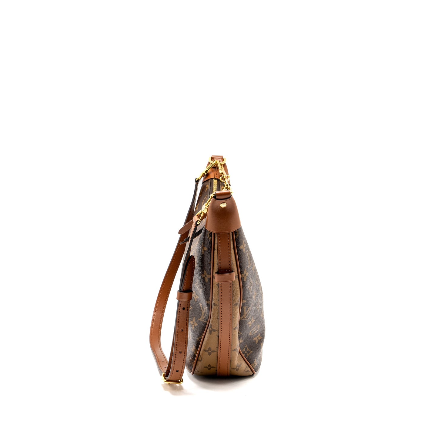 Louis Vuitton Loop Hobo Monogram Canvas/Calfskin